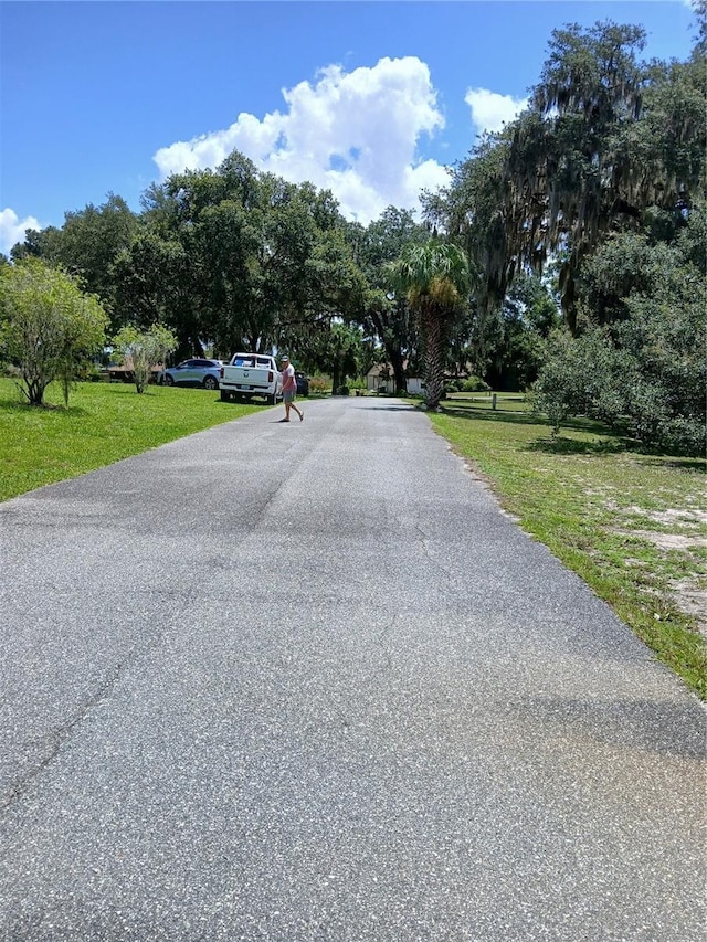 5272 County Road 114d, Wildwood, FL 34785 - photo 4