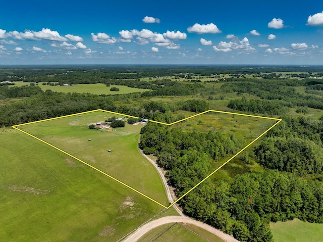 11511 Mattioda Rd, Groveland, FL 34736 - photo 6