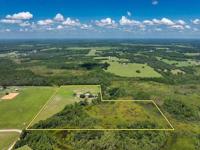 11511 Mattioda Rd, Groveland, FL 34736 - photo 7
