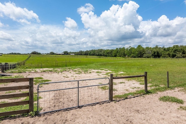 11511 Mattioda Rd, Groveland, FL 34736 - photo 47