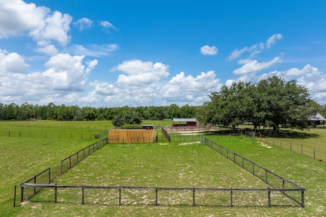11511 Mattioda Rd, Groveland, FL 34736 - photo 48
