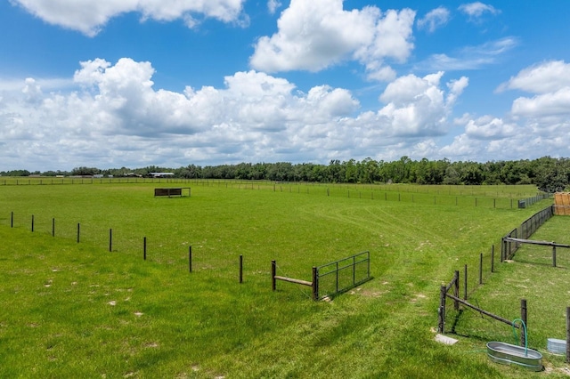 11511 Mattioda Rd, Groveland, FL 34736 - photo 49