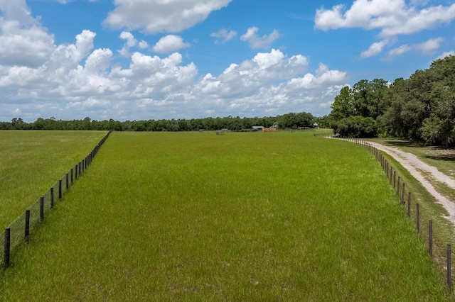11511 Mattioda Rd, Groveland, FL 34736 - photo 50
