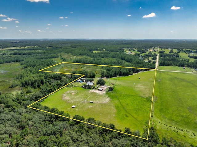 11511 Mattioda Rd, Groveland, FL 34736 - photo 52