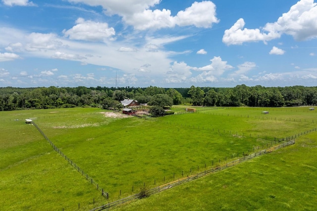11511 Mattioda Rd, Groveland, FL 34736 - photo 57