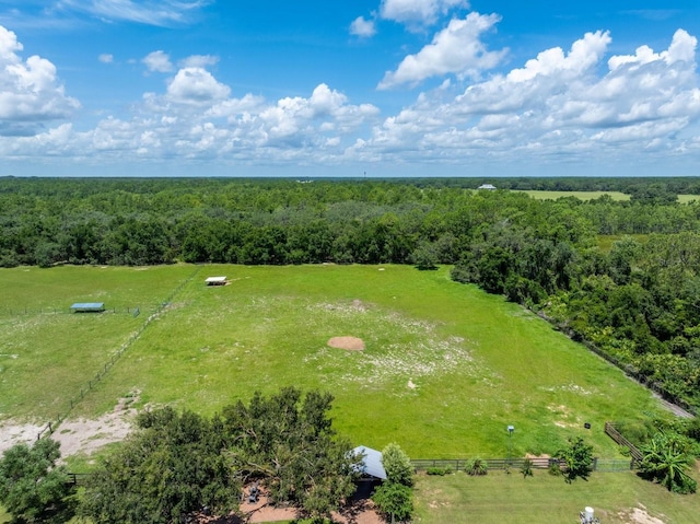11511 Mattioda Rd, Groveland, FL 34736 - photo 58