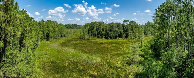 11511 Mattioda Rd, Groveland, FL 34736 - photo 59