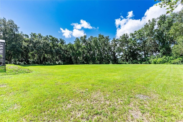 1923 Crk 738, Webster, FL 33597 - photo 51