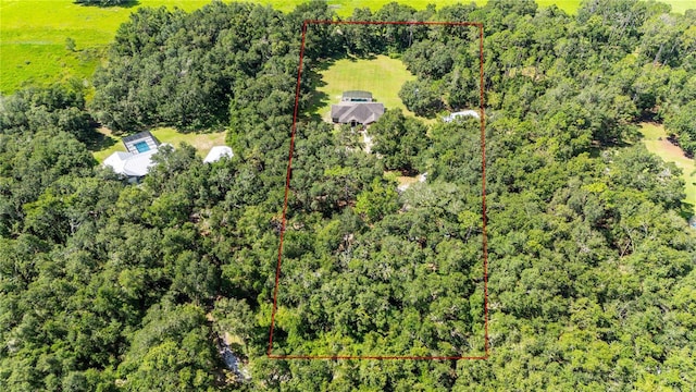 1923 Crk 738, Webster, FL 33597 - photo 64