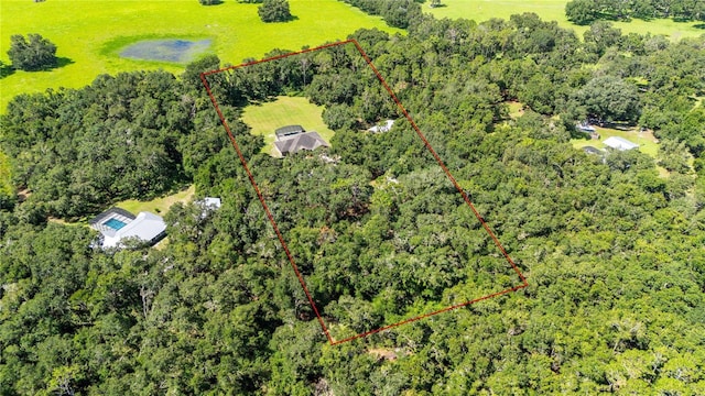 1923 Crk 738, Webster, FL 33597 - photo 65
