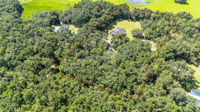 1923 Crk 738, Webster, FL 33597 - photo 66