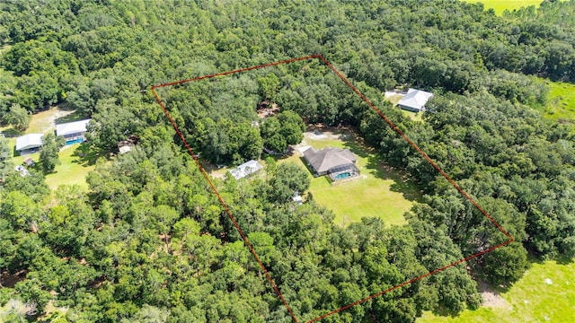 1923 Crk 738, Webster, FL 33597 - photo 67