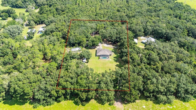1923 Crk 738, Webster, FL 33597 - photo 68