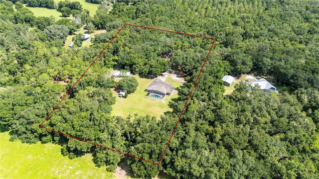 1923 Crk 738, Webster, FL 33597 - photo 69