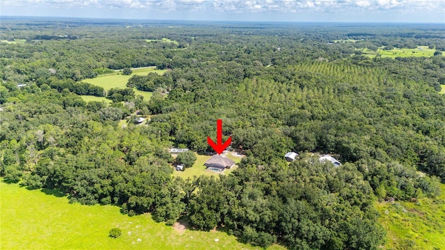 1923 Crk 738, Webster, FL 33597 - photo 70