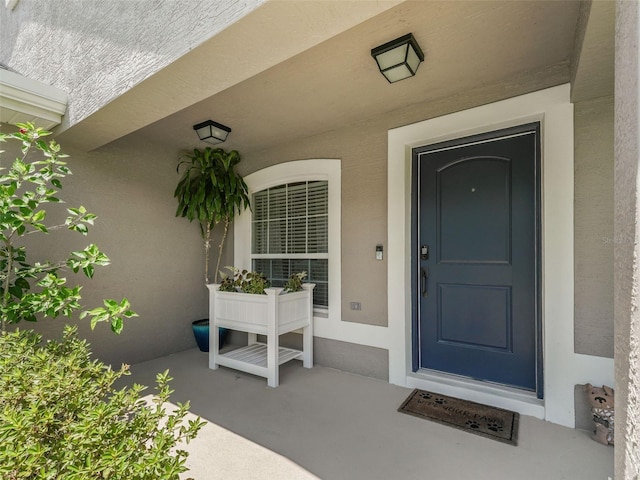 9806 Pepper Tree Pl, Wildwood, FL 34785 - photo 5