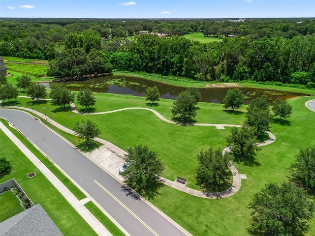 9806 Pepper Tree Pl, Wildwood, FL 34785 - photo 35