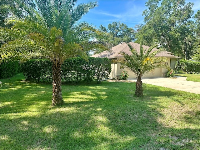 7260 SE 124th Ln, Belleview, FL 34420 - photo 4