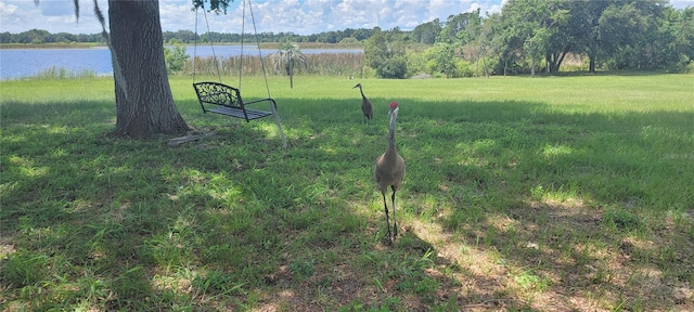 8722 County Road 561, Clermont, FL 34711 - photo 45