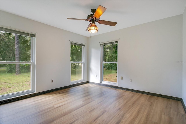 3629 Lake Buynak Rd, Windermere, FL 34786 - photo 21