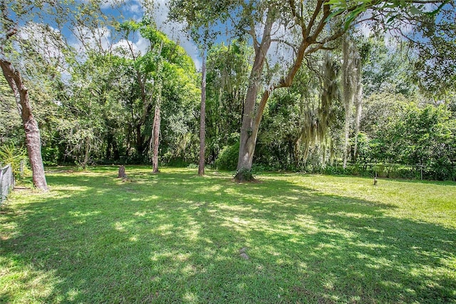 3629 Lake Buynak Rd, Windermere, FL 34786 - photo 30