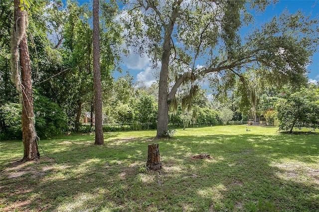 3629 Lake Buynak Rd, Windermere, FL 34786 - photo 31