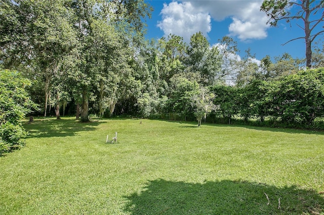3629 Lake Buynak Rd, Windermere, FL 34786 - photo 33