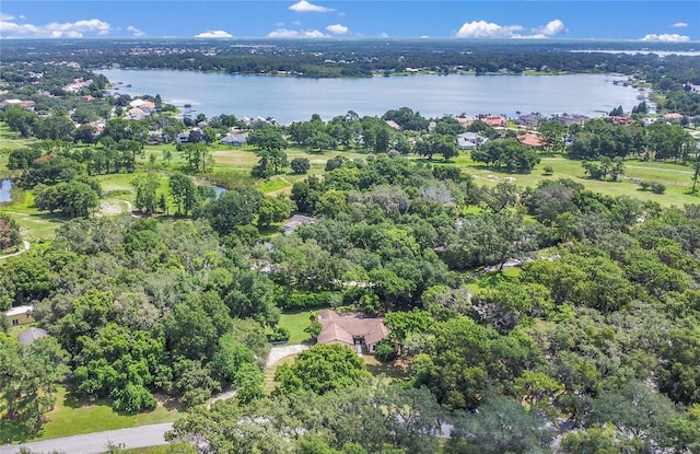 3629 Lake Buynak Rd, Windermere, FL 34786 - photo 34