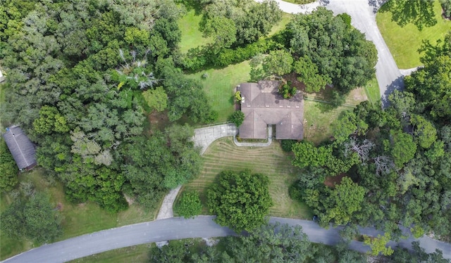 3629 Lake Buynak Rd, Windermere, FL 34786 - photo 36