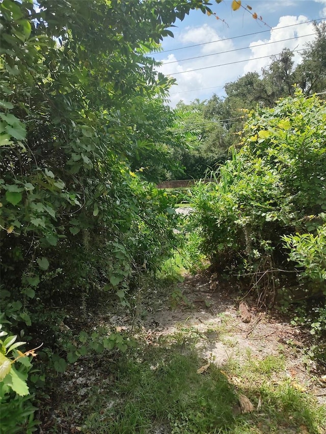 3629 Lake Buynak Rd, Windermere, FL 34786 - photo 40