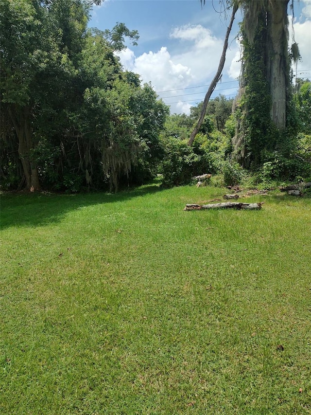 3629 Lake Buynak Rd, Windermere, FL 34786 - photo 42