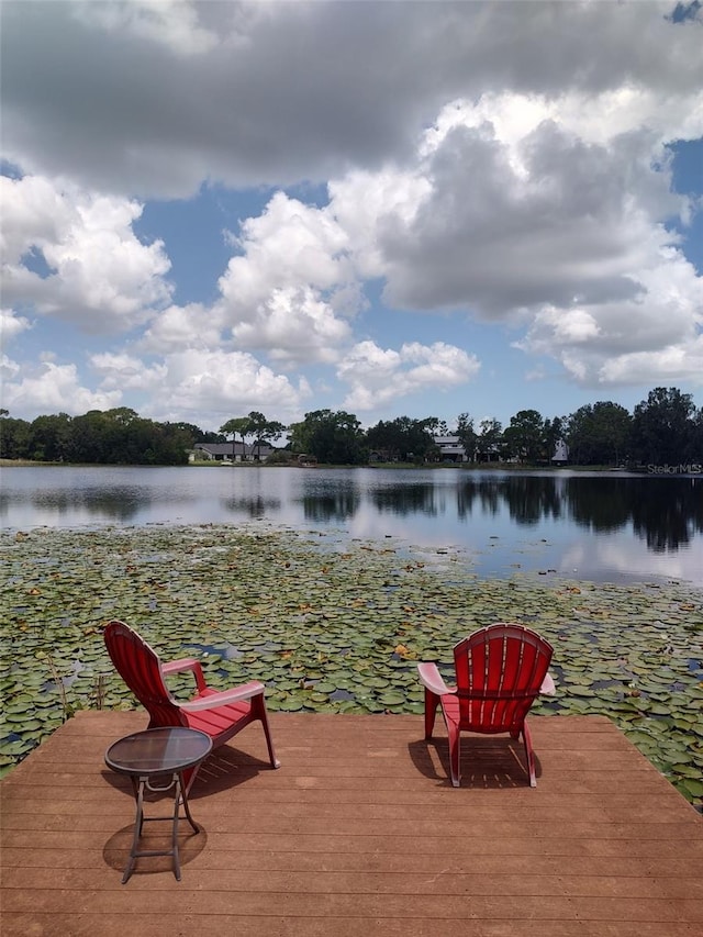 3629 Lake Buynak Rd, Windermere, FL 34786 - photo 44