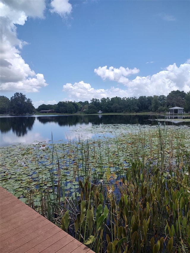 3629 Lake Buynak Rd, Windermere, FL 34786 - photo 45