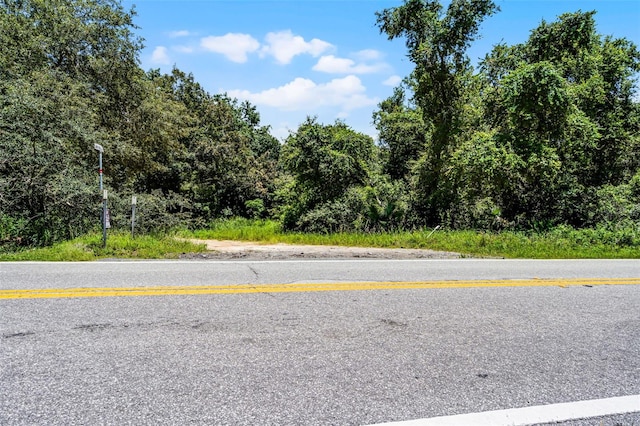 15504 Lake Apopka Rd, Clermont, FL 34715 - photo 3