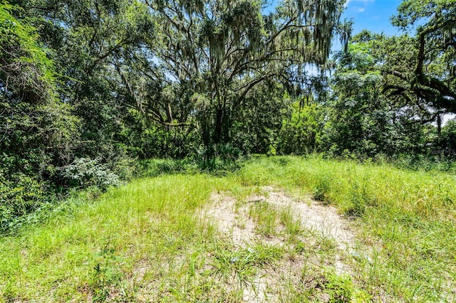 15504 Lake Apopka Rd, Clermont, FL 34715 - photo 4