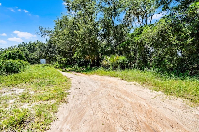 15504 Lake Apopka Rd, Clermont, FL 34715 - photo 5