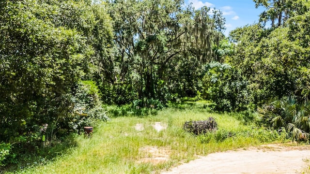 15504 Lake Apopka Rd, Clermont, FL 34715 - photo 11
