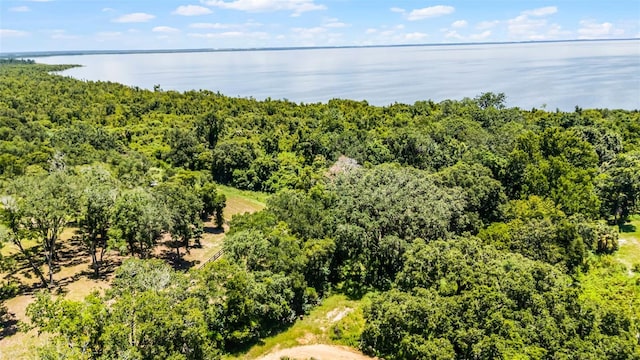 15504 Lake Apopka Rd, Clermont, FL 34715 - photo 14