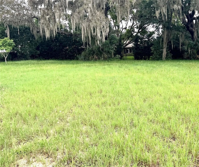 E Laurel Ave, Howey In The Hills, FL 34737 - photo 2