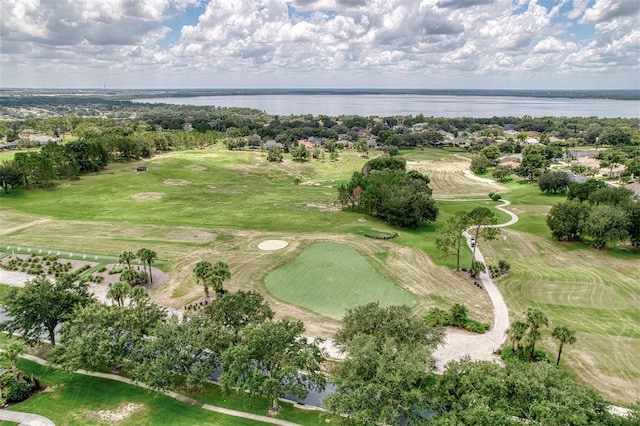 1000 Glenraven Ln, Clermont, FL 34711 - photo 68