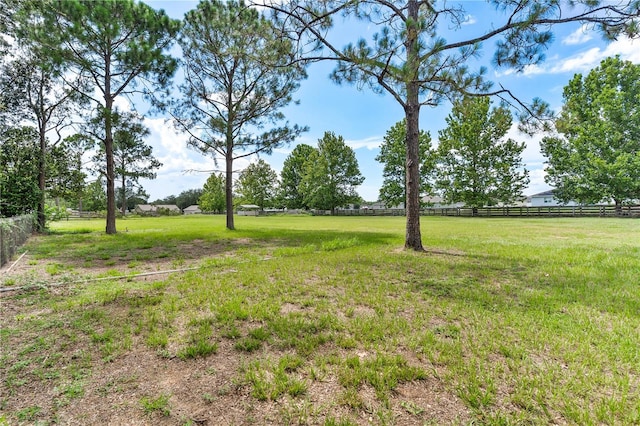Deer Meadow Ln, Grand Island, FL 32735 - photo 23
