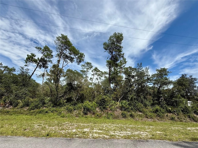 LOT1 Dahlia St, Eustis, FL 32736 - photo 1
