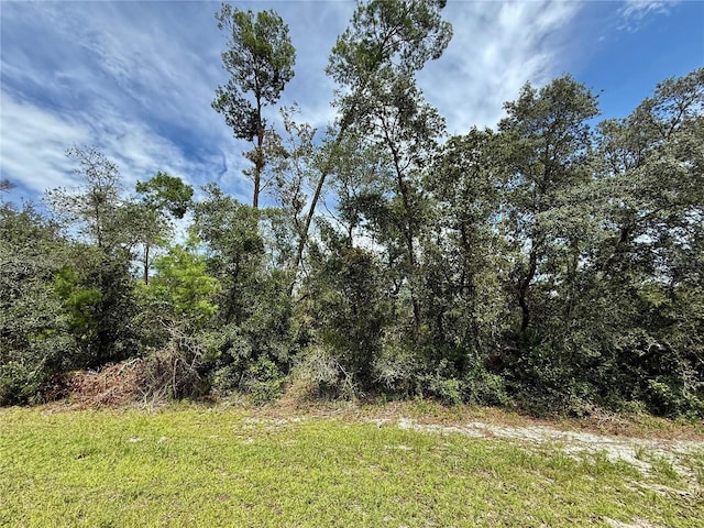 LOT1 Dahlia St, Eustis, FL 32736 - photo 2