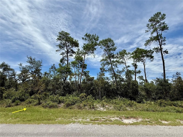 LOT1 Dahlia St, Eustis, FL 32736 - photo 8