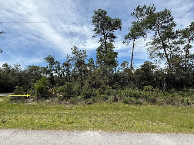 LOT1 Dahlia St, Eustis, FL 32736 - photo 9