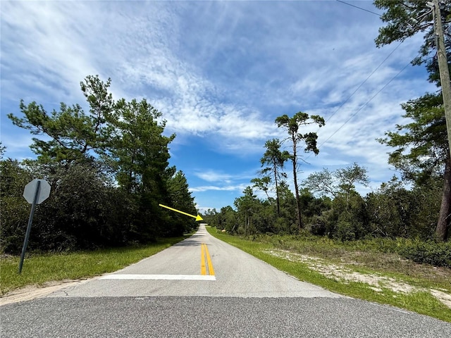LOT1 Dahlia St, Eustis, FL 32736 - photo 10