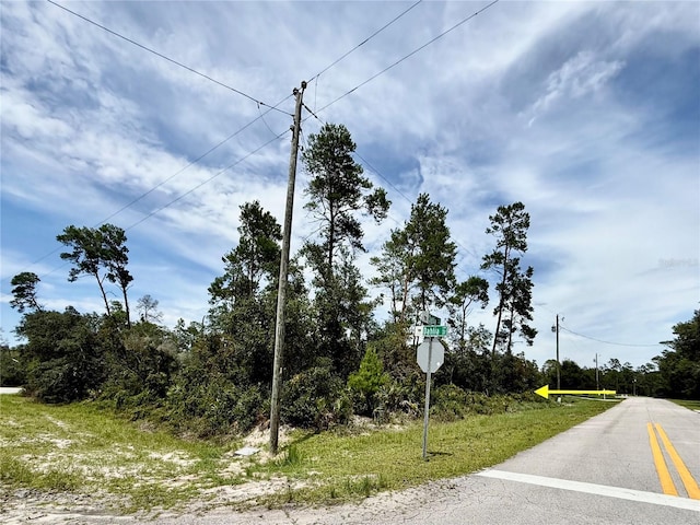 LOT1 Dahlia St, Eustis, FL 32736 - photo 12