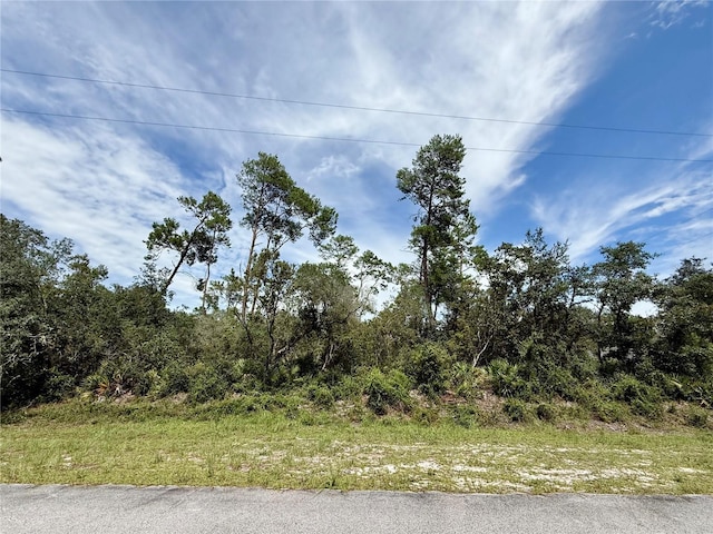 LOT1 Dahlia St, Eustis, FL 32736 - photo 14