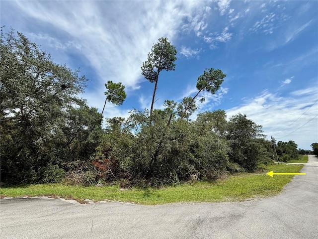 LOT1 Dahlia St, Eustis, FL 32736 - photo 16