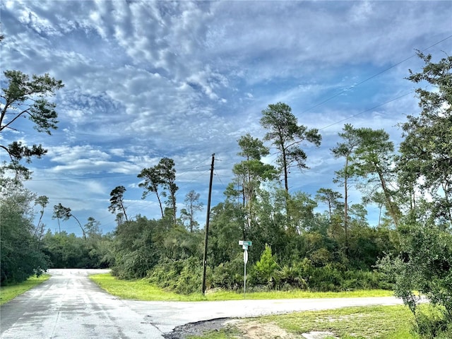 LOT1 Dahlia St, Eustis, FL 32736 - photo 23